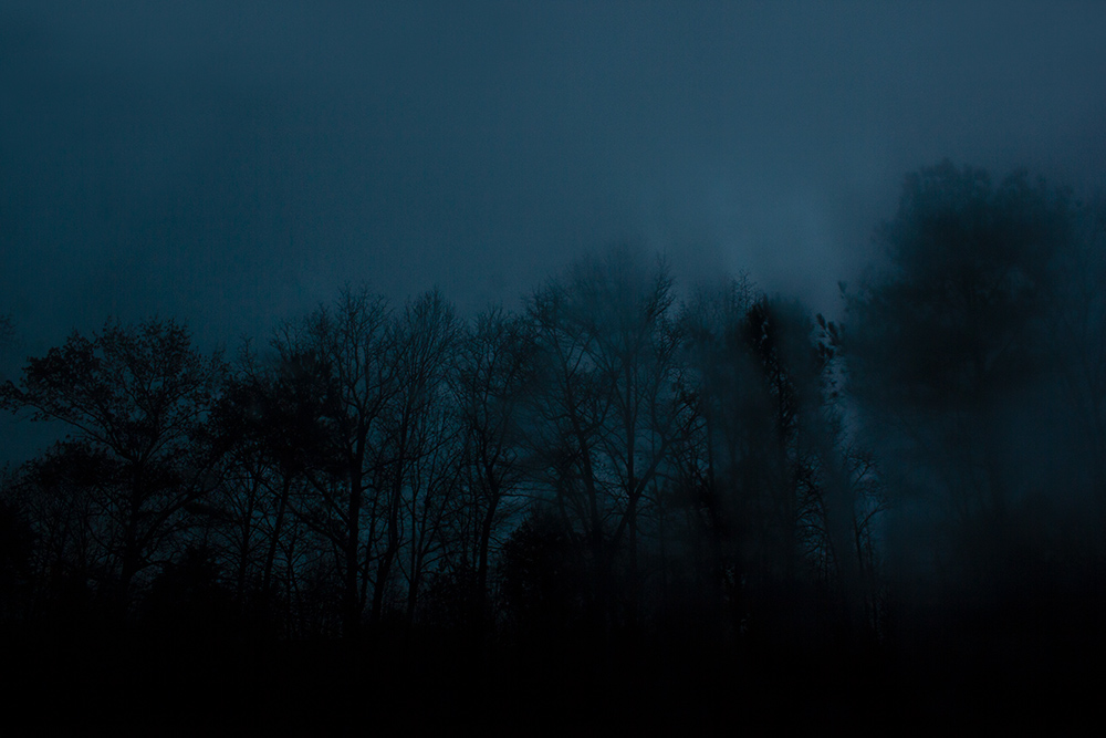 night-forest-7.jpg