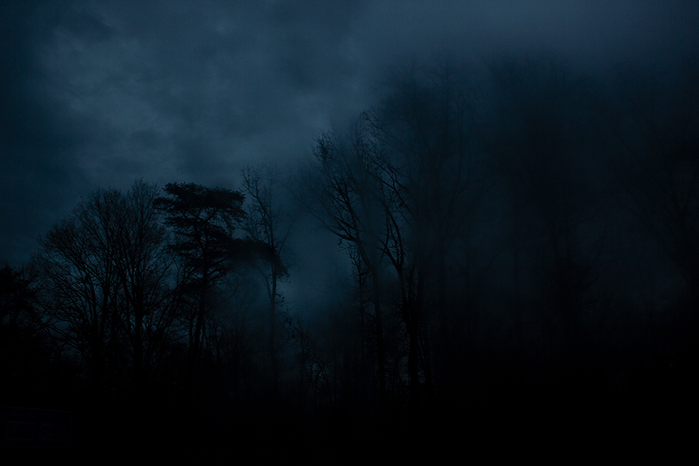 night-forest-9.jpg