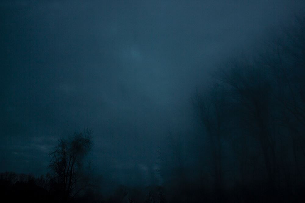 night-forest-10.jpg