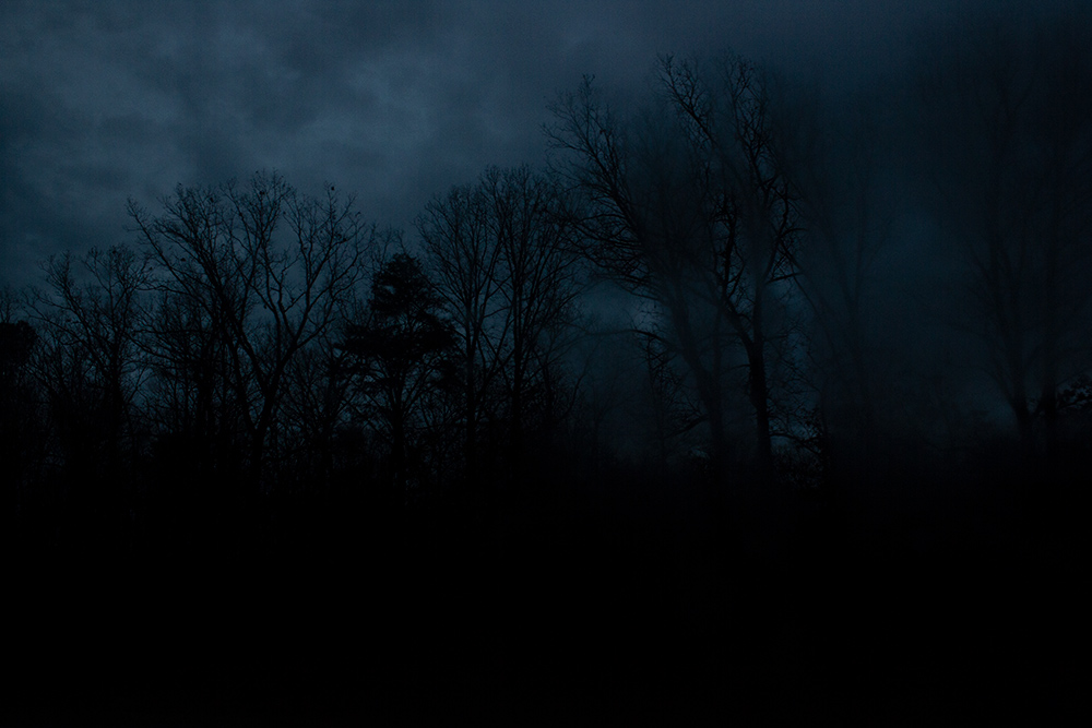 night-forest-18.jpg