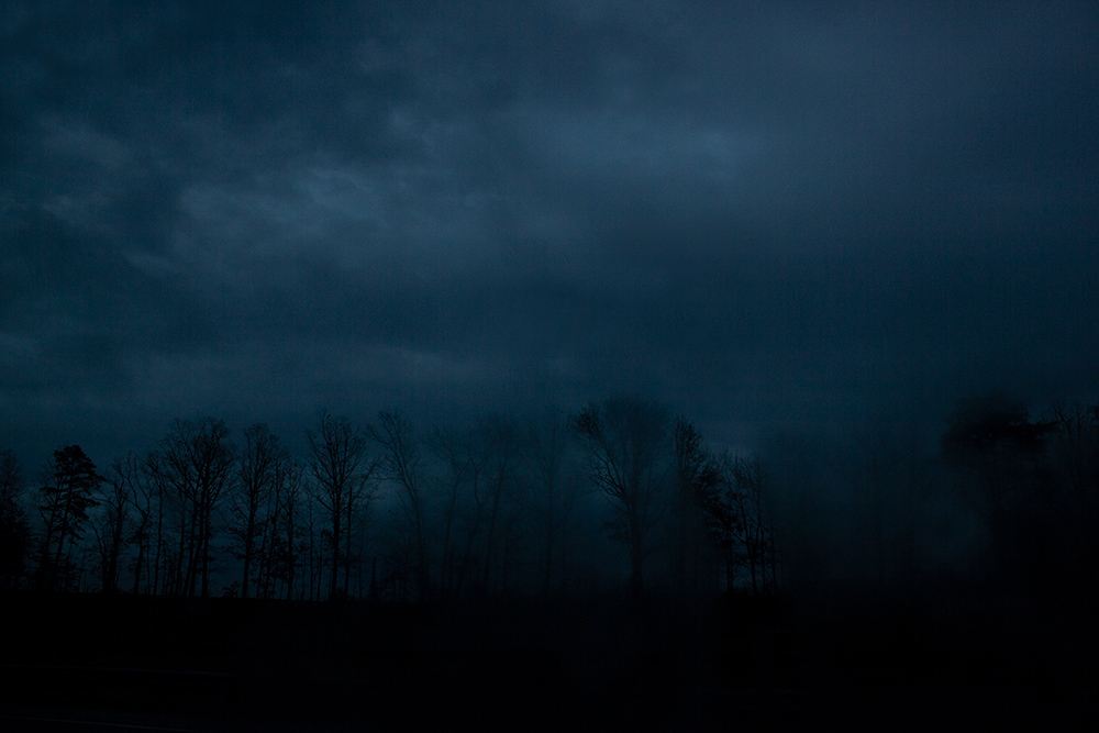 night-forest-20.jpg