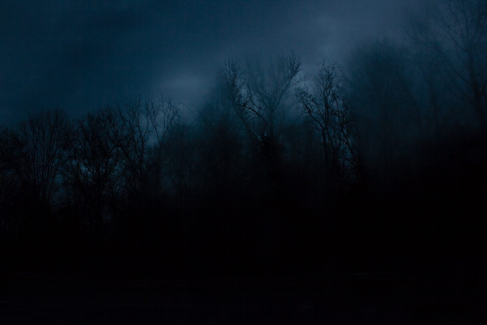 night-forest-22.jpg