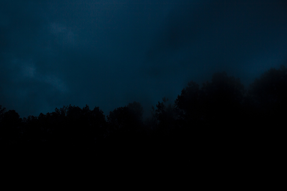 night-forest-25.jpg