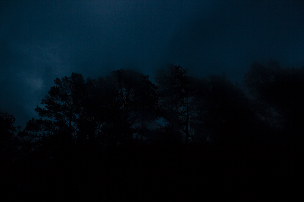 night-forest-27.jpg