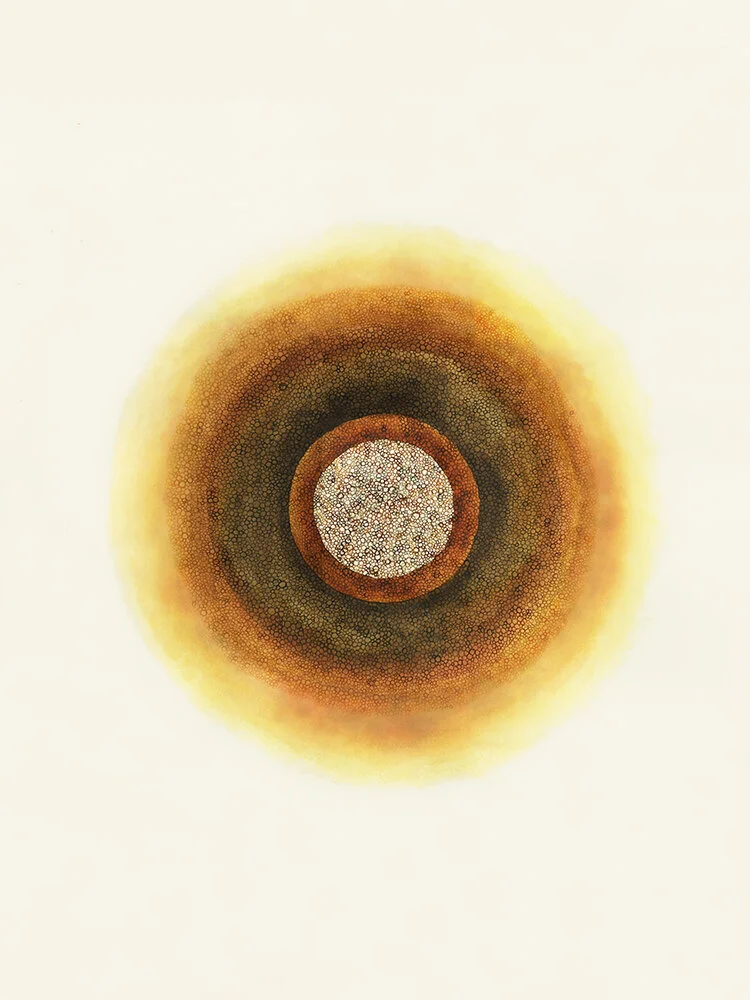 mandala-13-web.jpg
