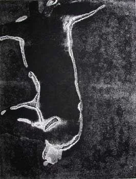HUMAN TRACES