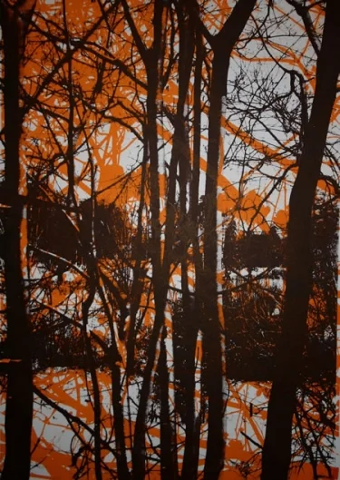 WALK IN THE WOODS