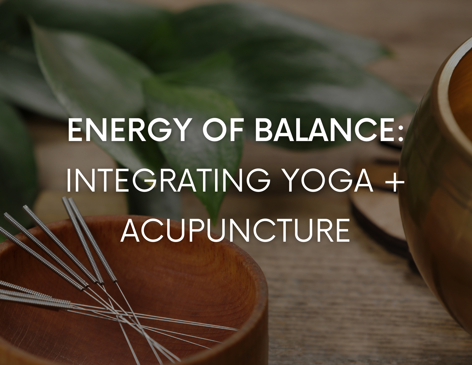 Energy of Balance: Integrating Yoga + Acupuncture