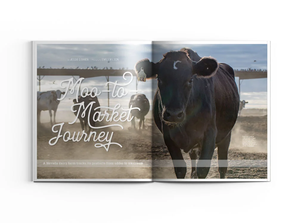 features_dairy_farmer_01_WEB.jpg