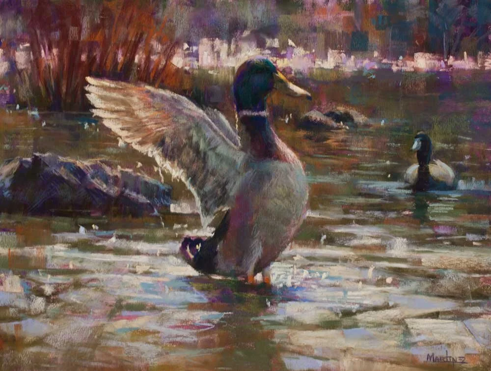 Katherine-Martinez-Splash-at-White-Rock-Lake-12x16-Pastel-on-Pastel-Paper-mallard-duck-dallas-texas-wildlife-aviary-bird-watcher-conservation-water-painting-impressionism-contemporary-art-illume-gallery-american-society-WEB.jpg