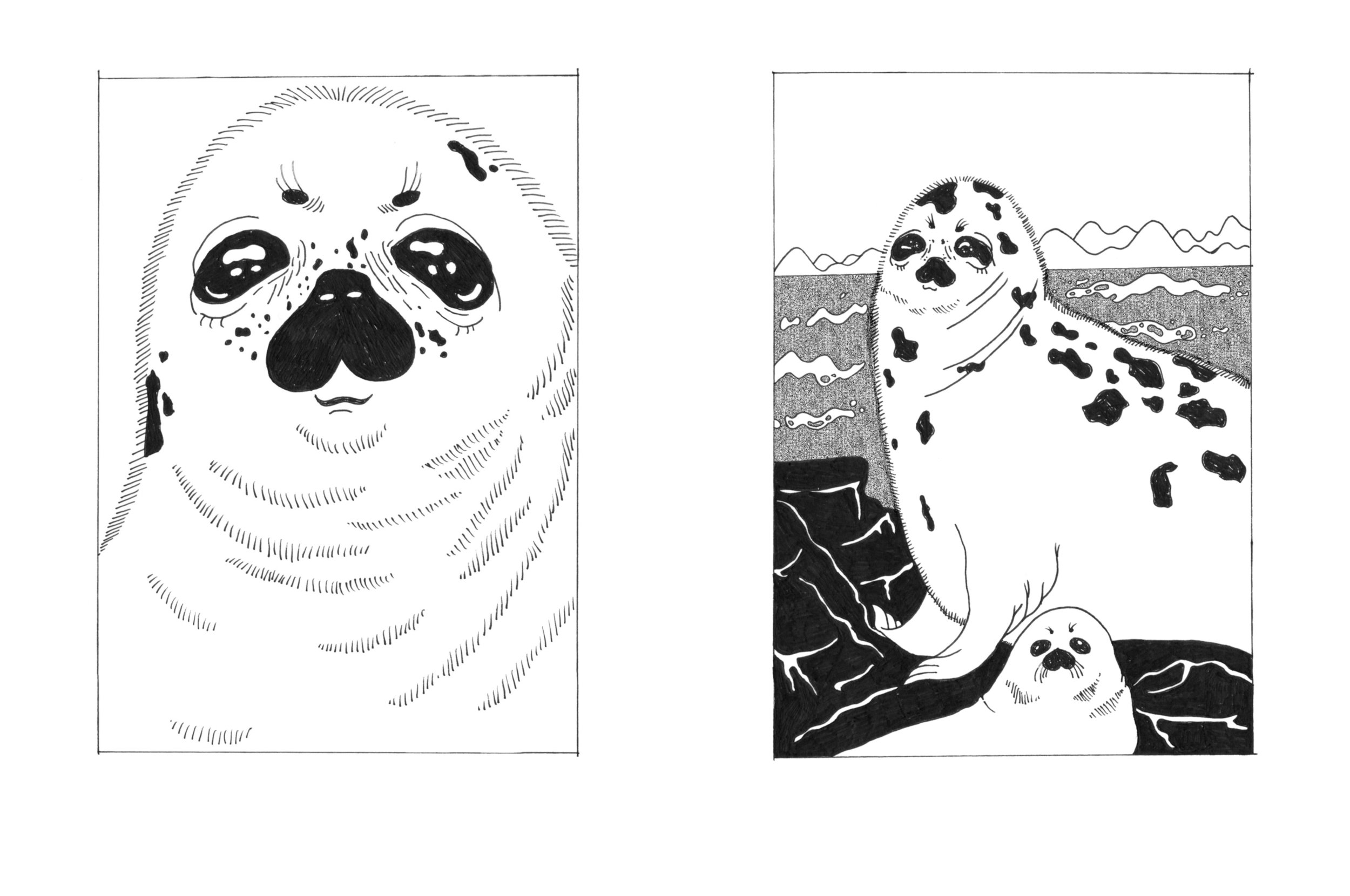 selkie spreads_Page_11.jpg