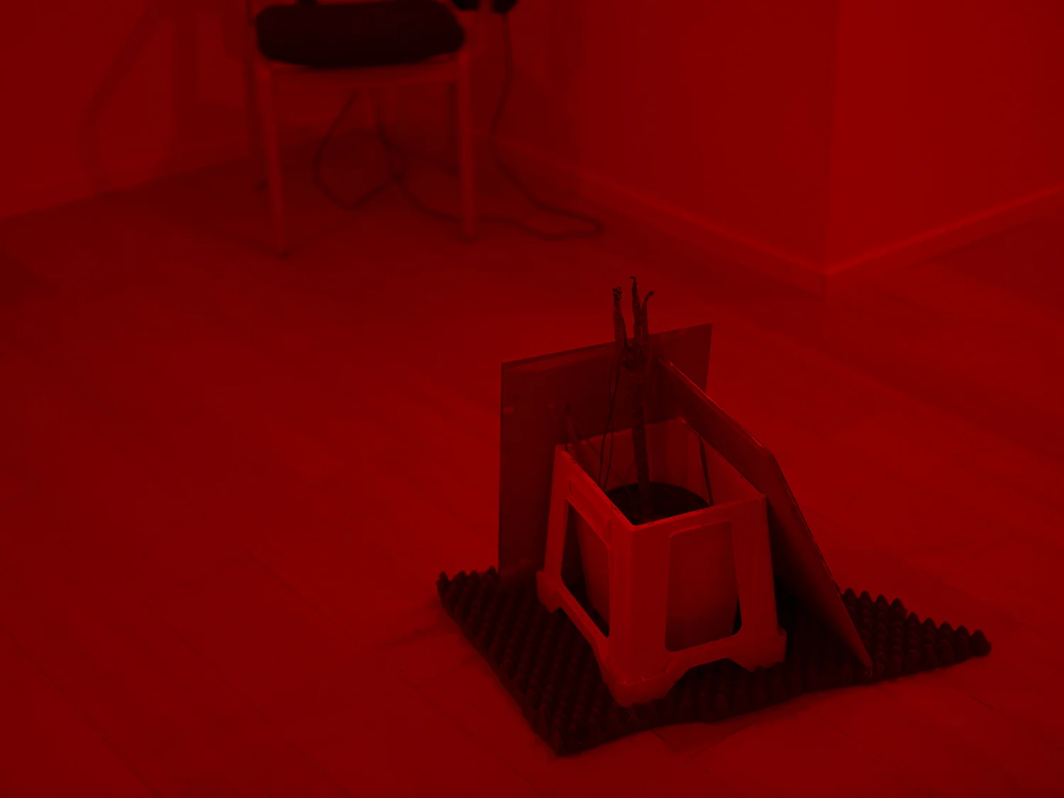 Alva Gallery _10.jpg