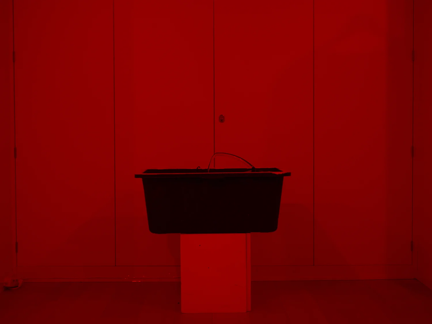 Alva Gallery _12.jpg