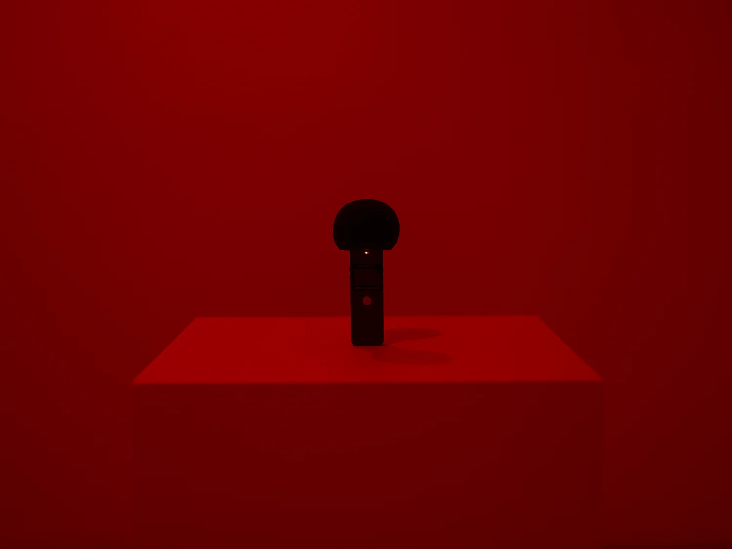 Alva Gallery _74.jpg