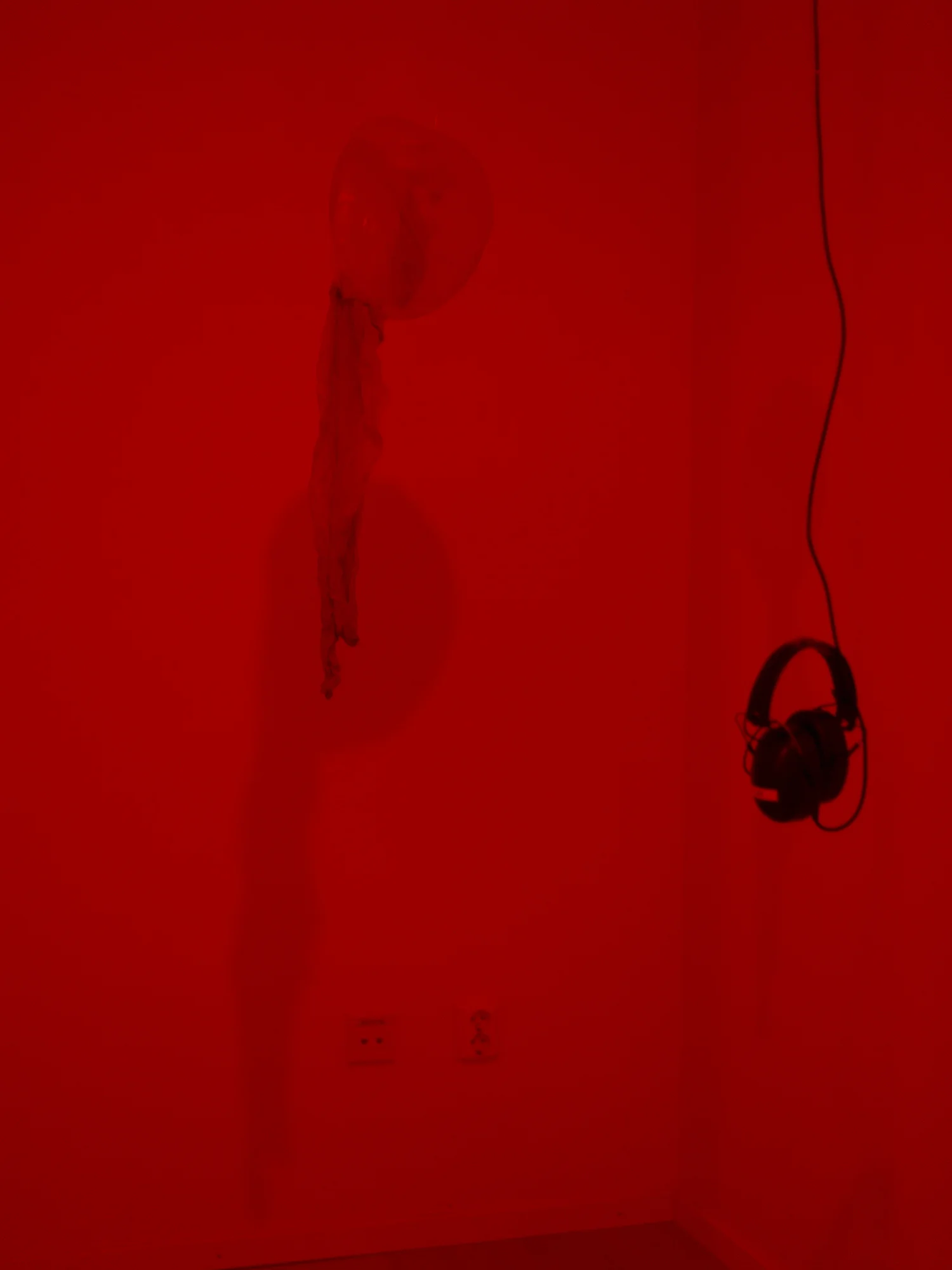 Alva Gallery _82.jpg