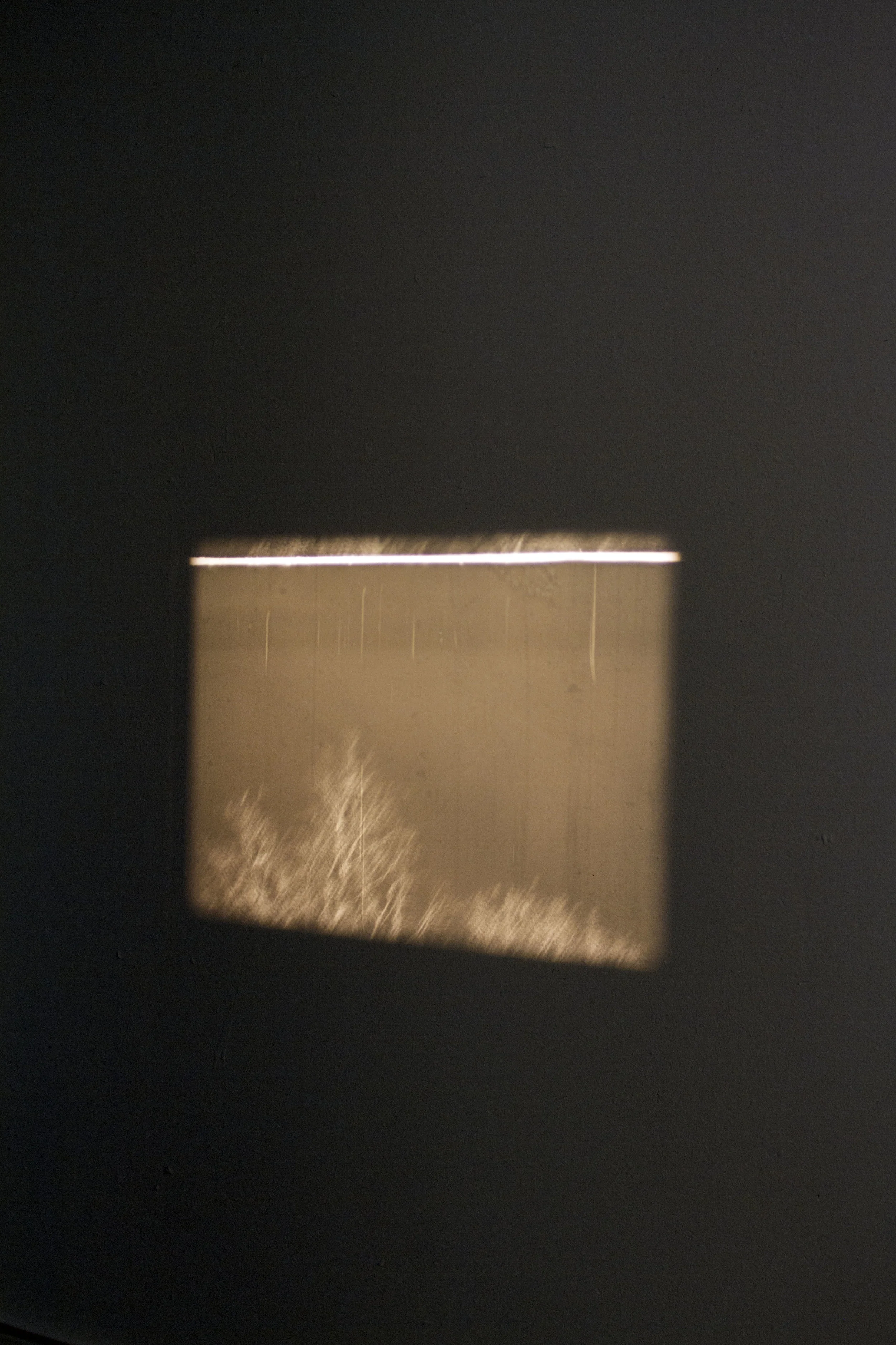 The texture and the rhythm of the mundane_26.jpg