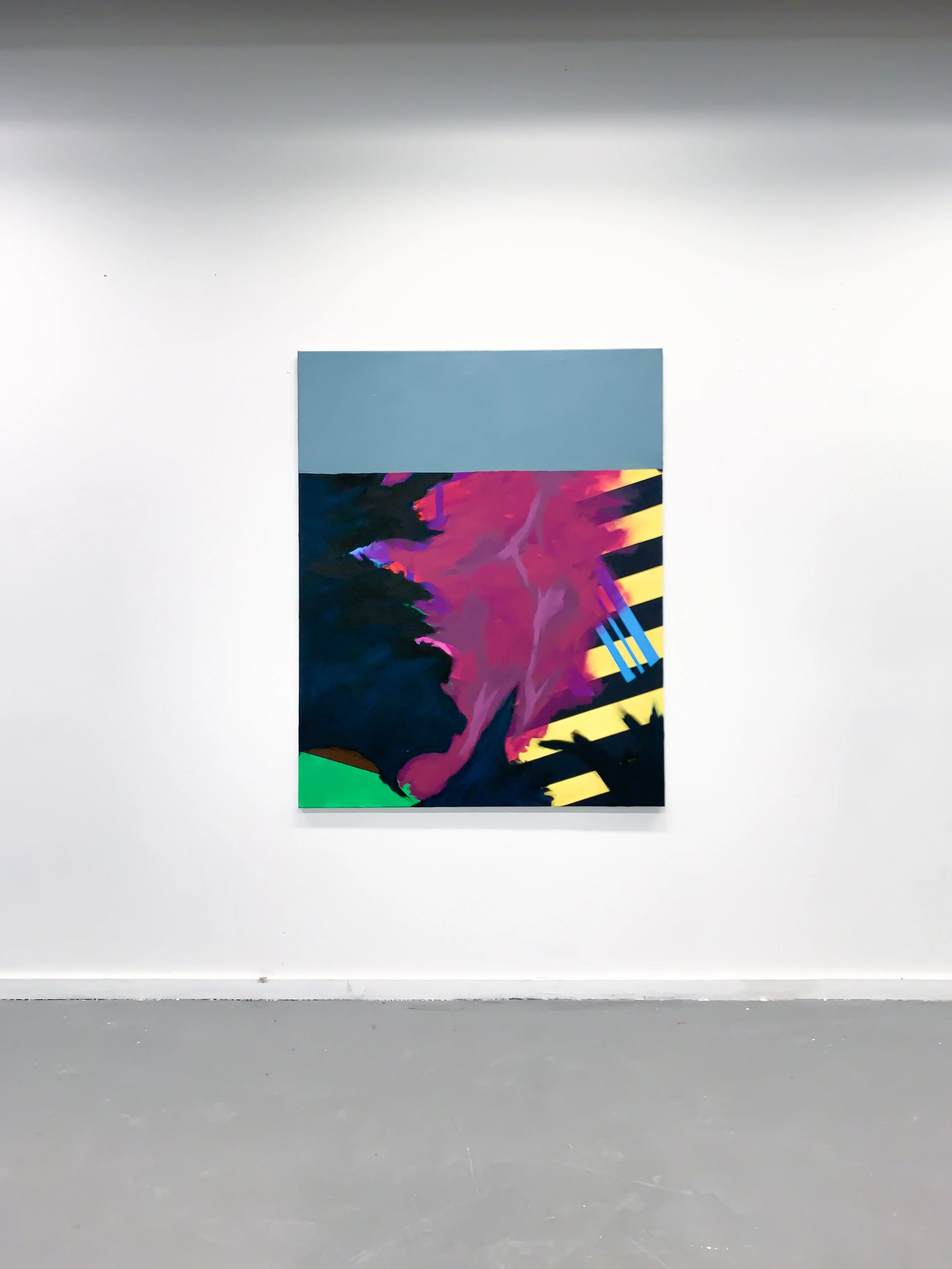 Razzle Dazzle 340° Leyland