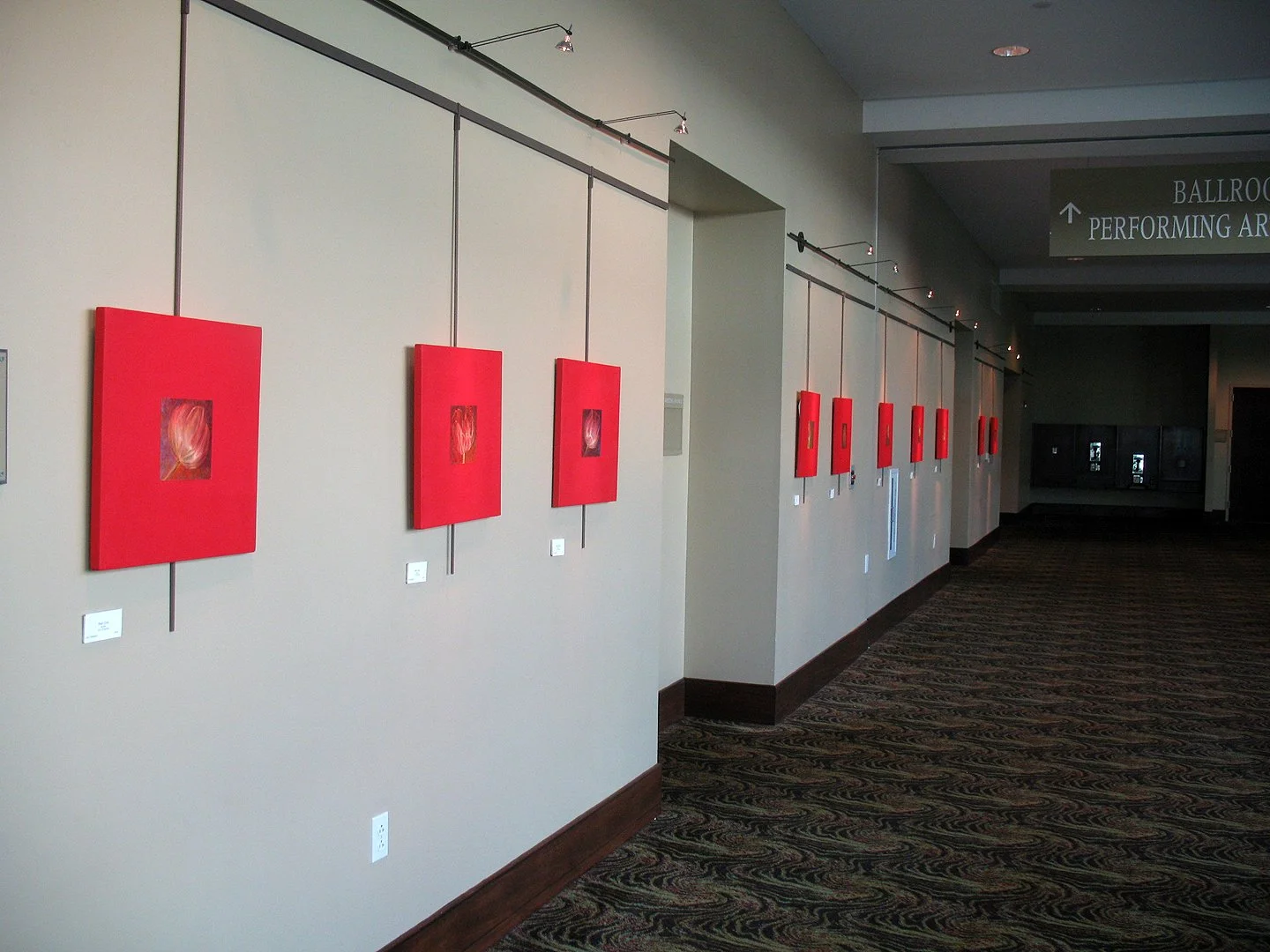 Red Tulip Installation