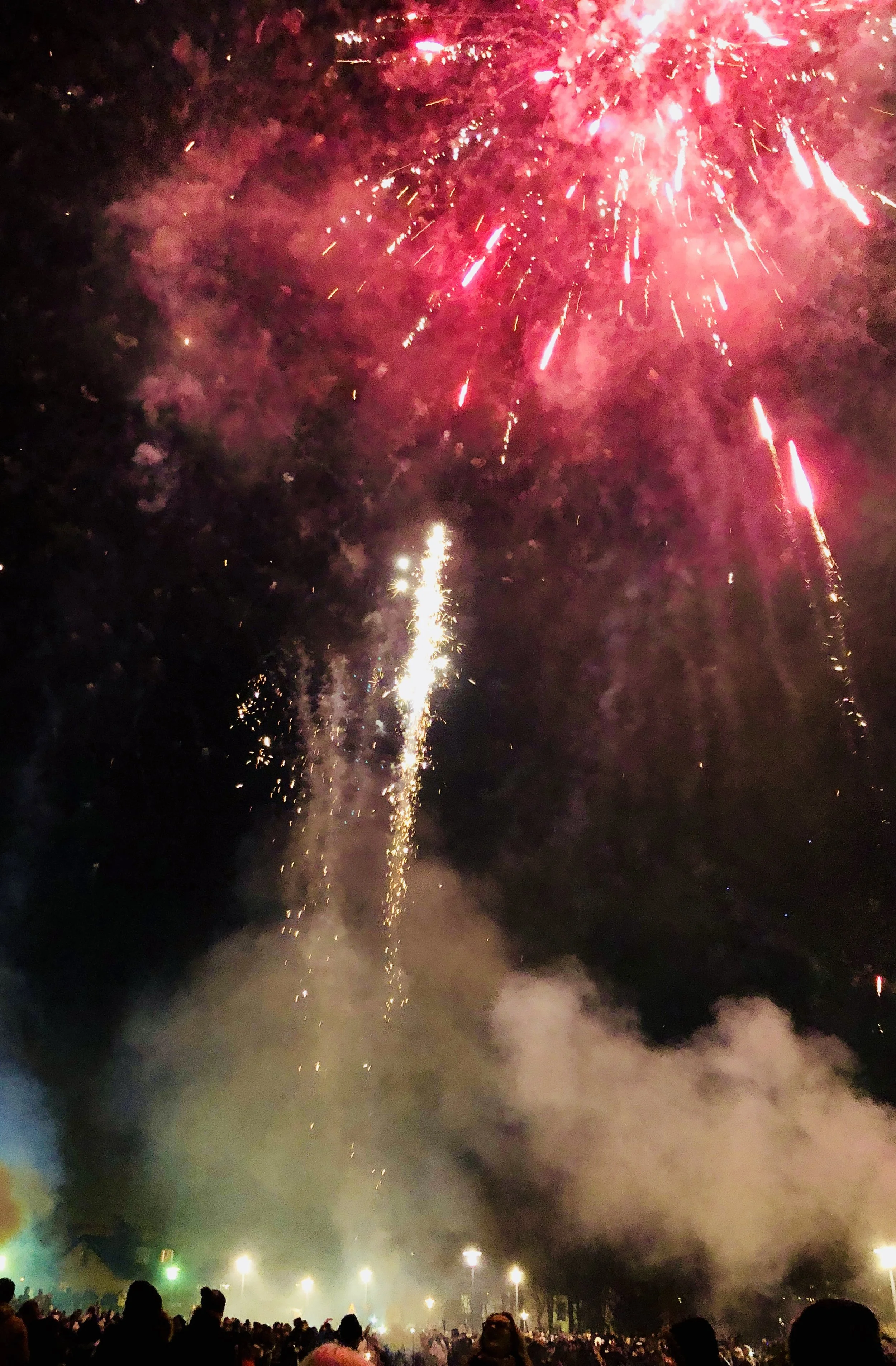  The crowds were incredible. It felt like the entire city was there. 