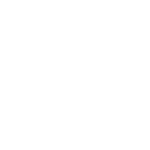 logo-nascar.png