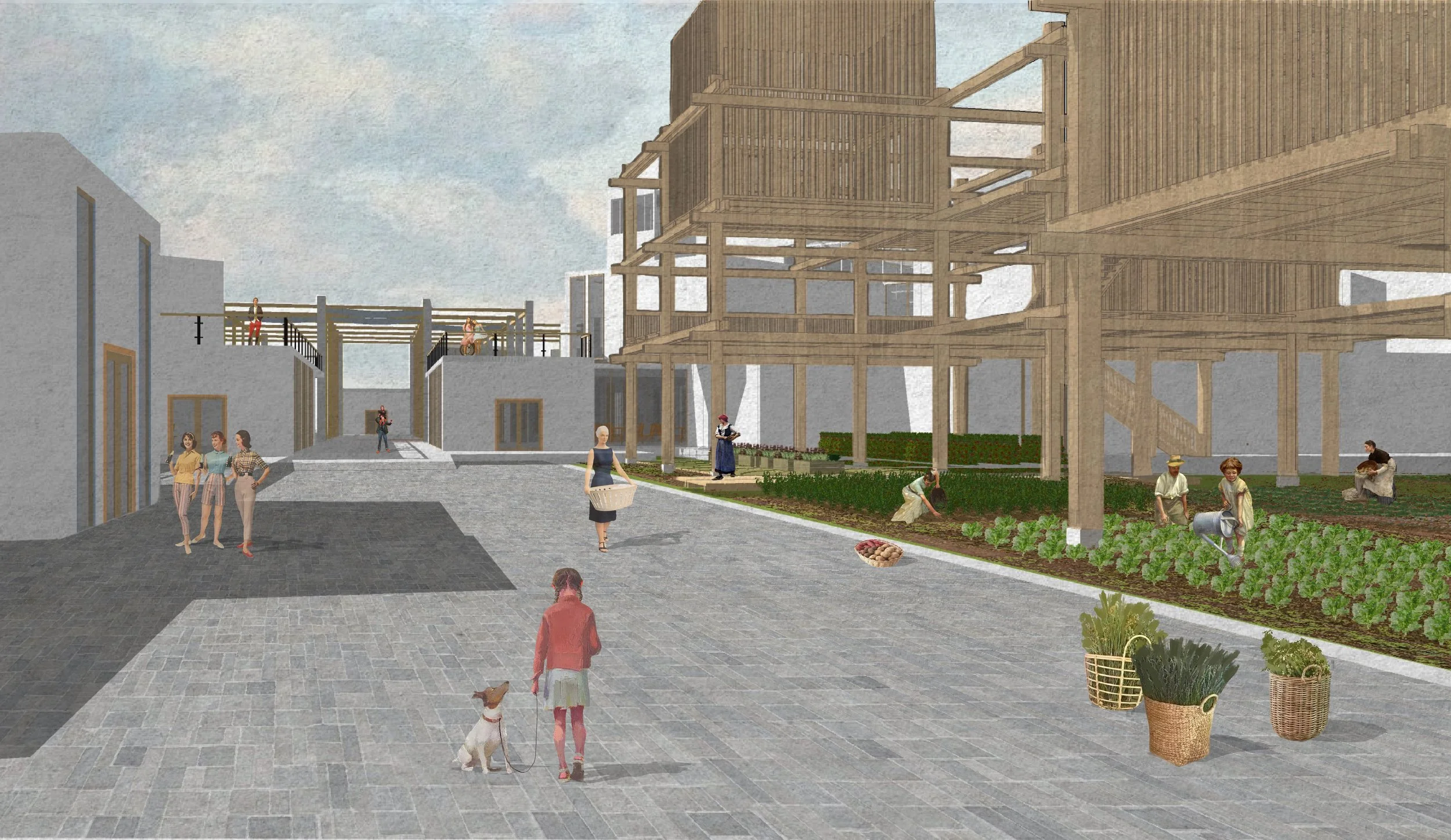 Видовой засушки-01.jpg