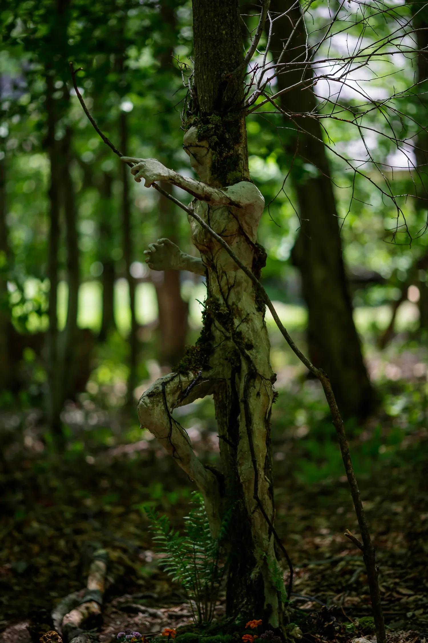 A forest scene with a tree trunk that has a person-shaped carving made into it. The carving appears to be a child with a hat, holding a stick, and the tree's branches are extending outwards.