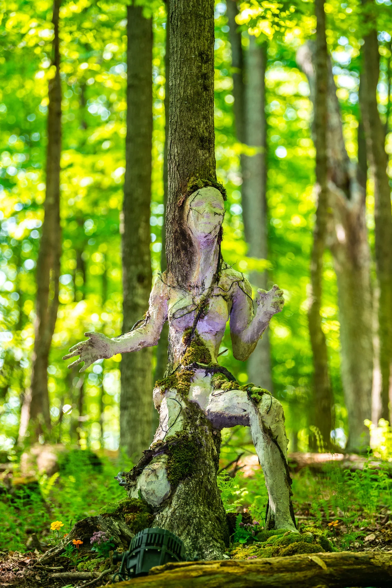 A ginger-bred, humanoid figure with a tree for a head and limbs stands in a lush green forest. The figure's body appears to be made of twisted, pale wood or bark, with moss growing on it. The background consists of tall trees with thick trunks and vi