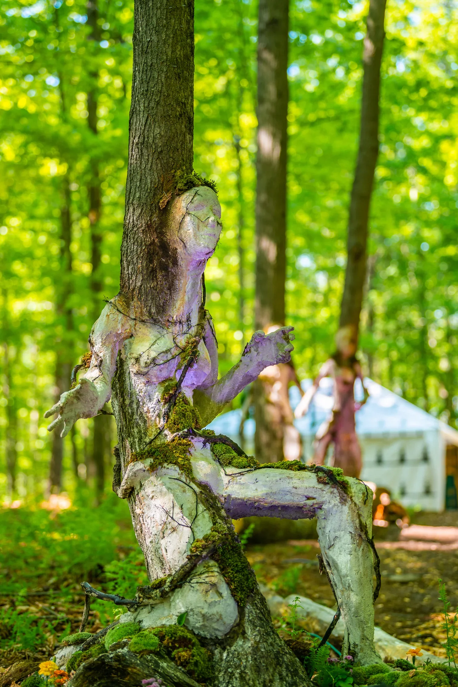 A tree in a forest with a branch that looks like a creature with a face and limbs. The creature appears to be part of the tree, with moss and bark forming its form. The background is filled with green foliage and sunlight filtering through the trees.