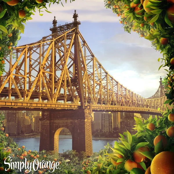bridge1.jpg
