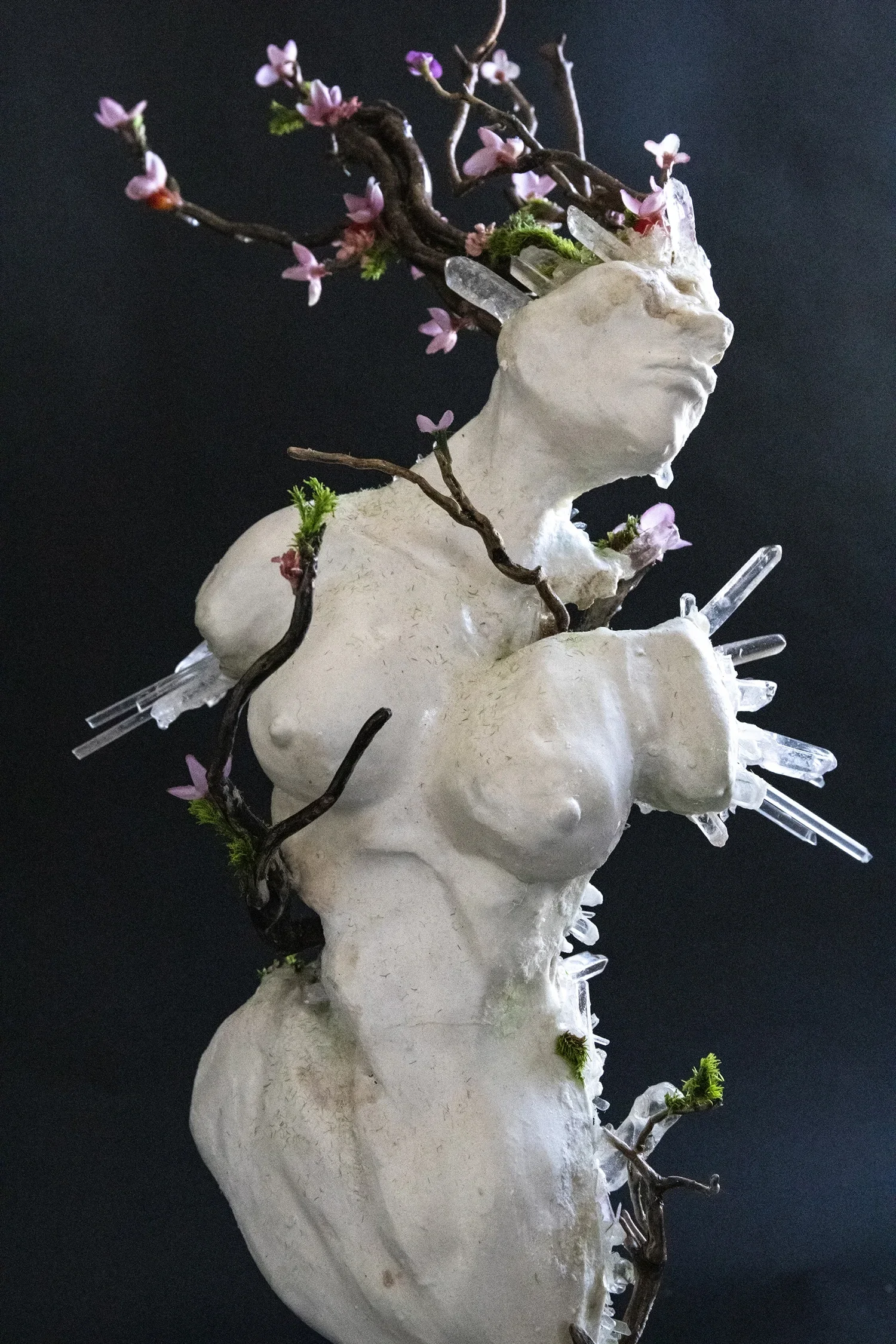 A white human skull with pink and purple blossoms, green moss, and transparent crystal-like structures arranged around it against a dark background.