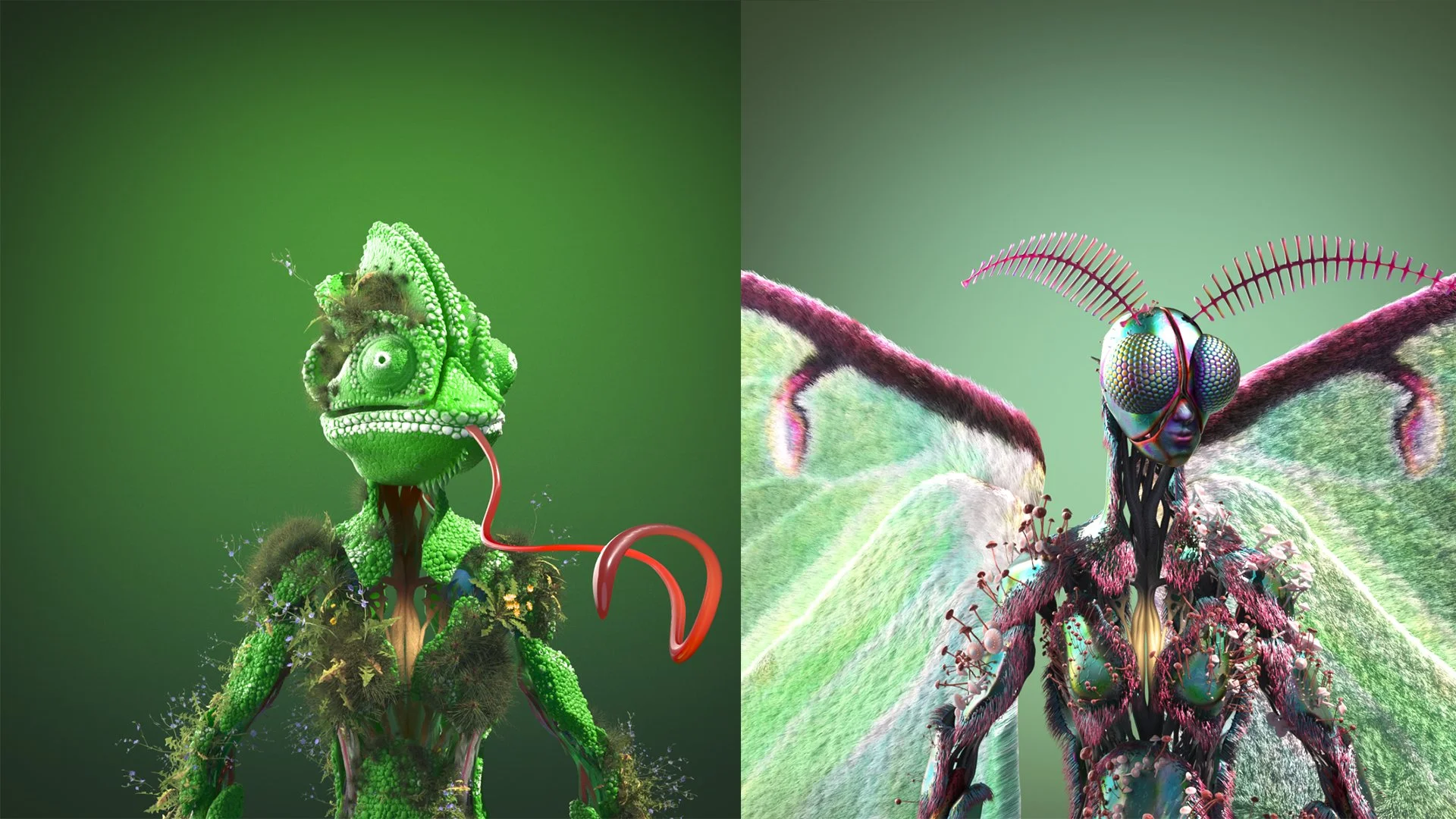 Copy of PFP 1 copy.jpg