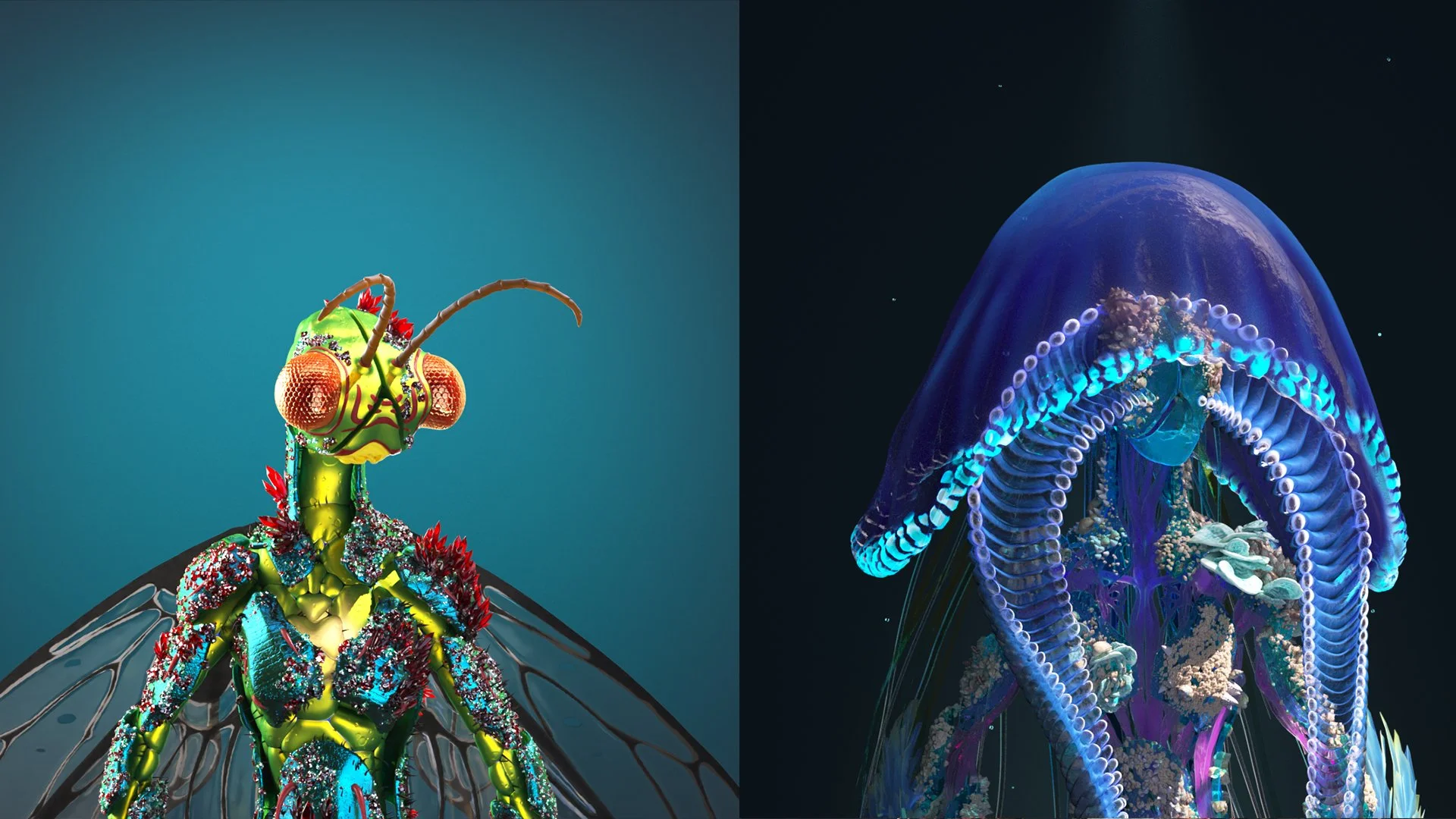 Copy of PFP 3 copy.jpg