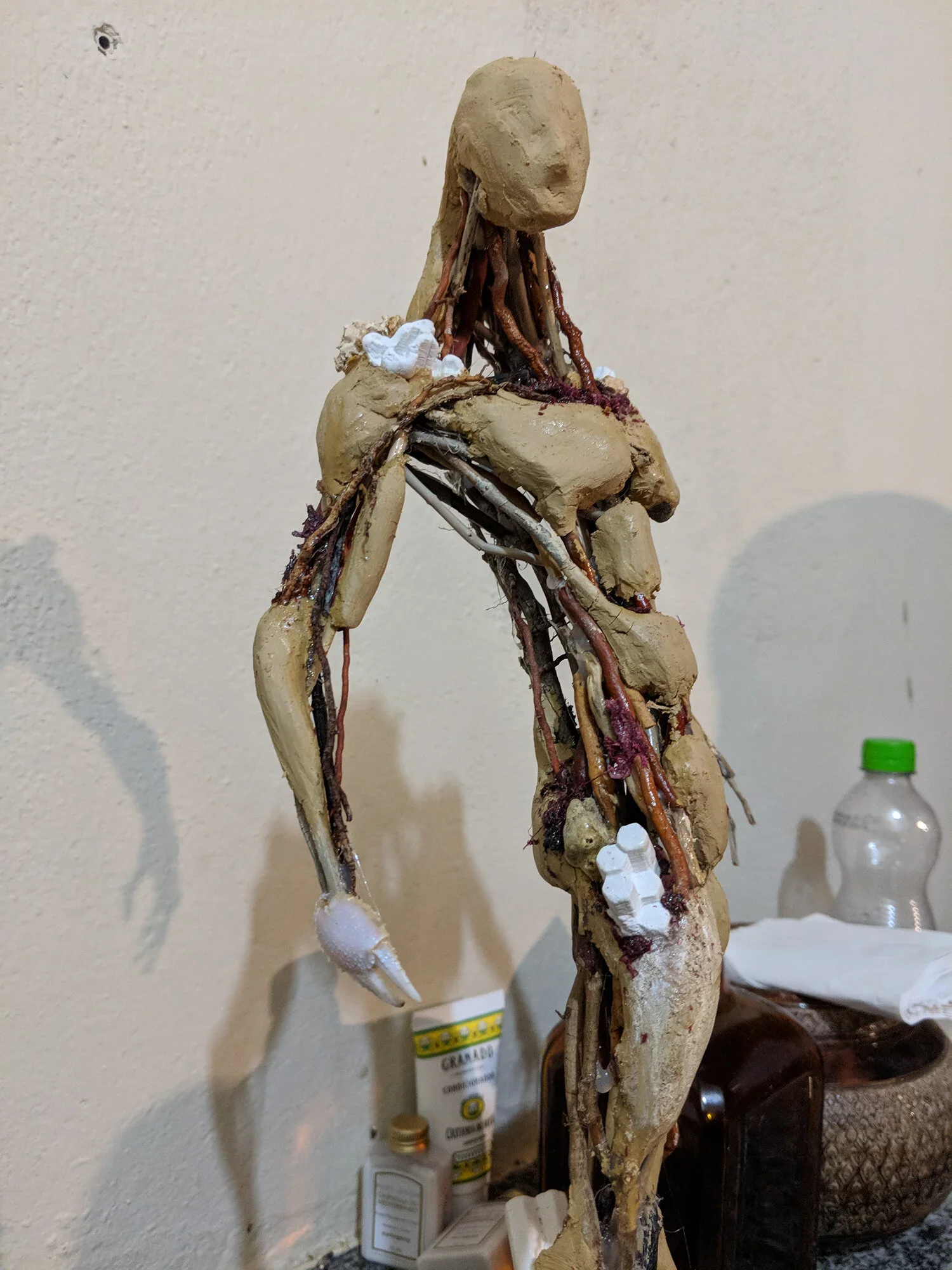 A human anatomy model showing muscles, bones, and blood vessels, standing on a table against a plain wall.