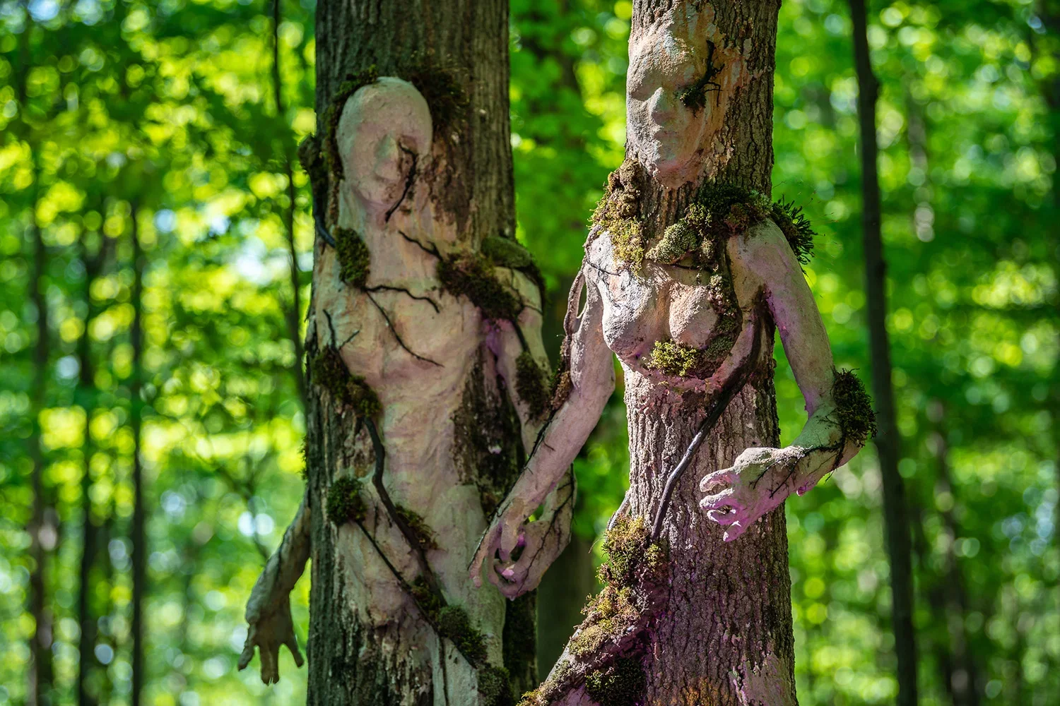 Tree trunks with human-like figures and faces carved or formed in the bark, in a dense green forest.