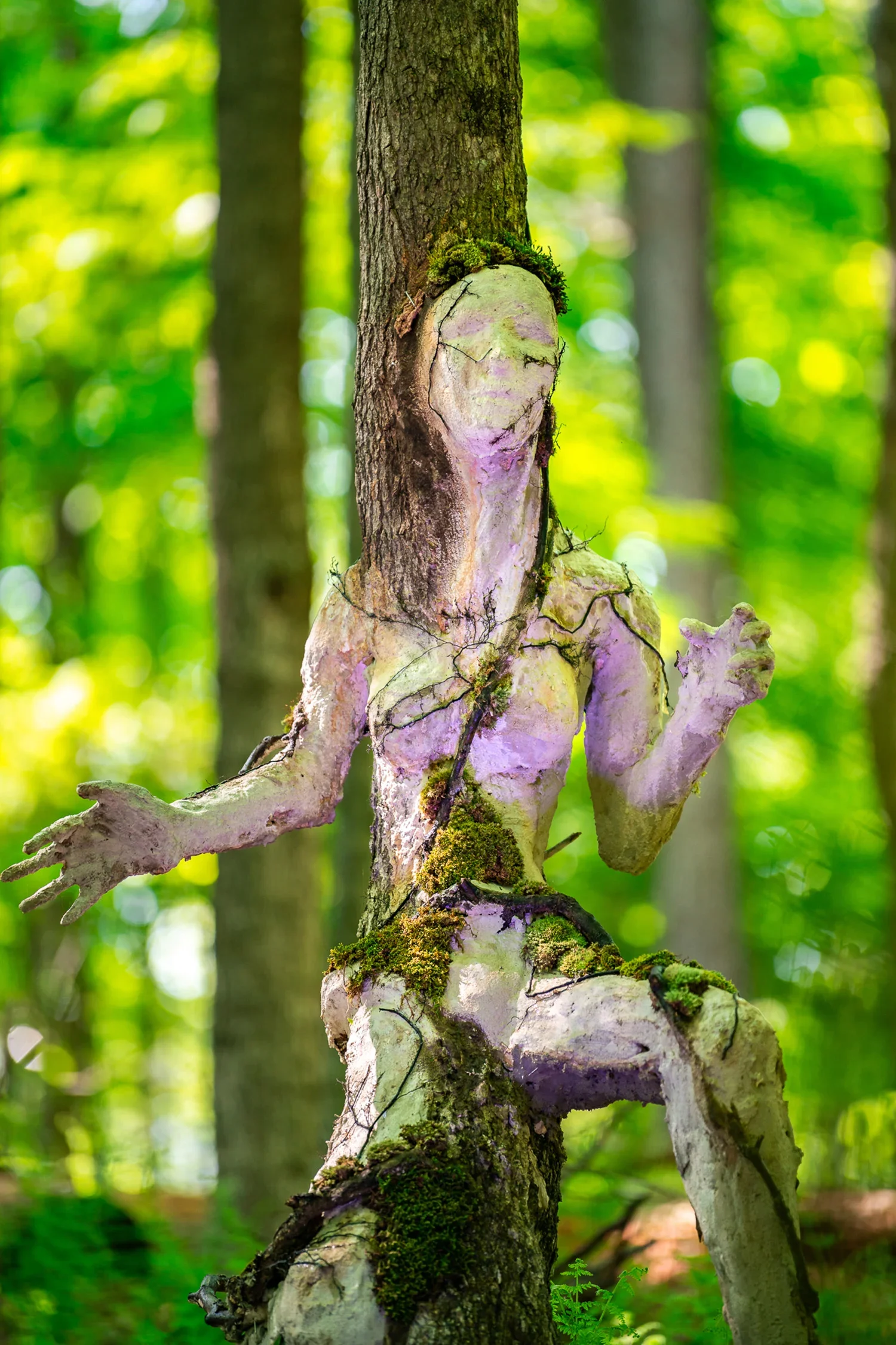 A tree with a face carved into the bark, surrounded by green foliage and forest environment.