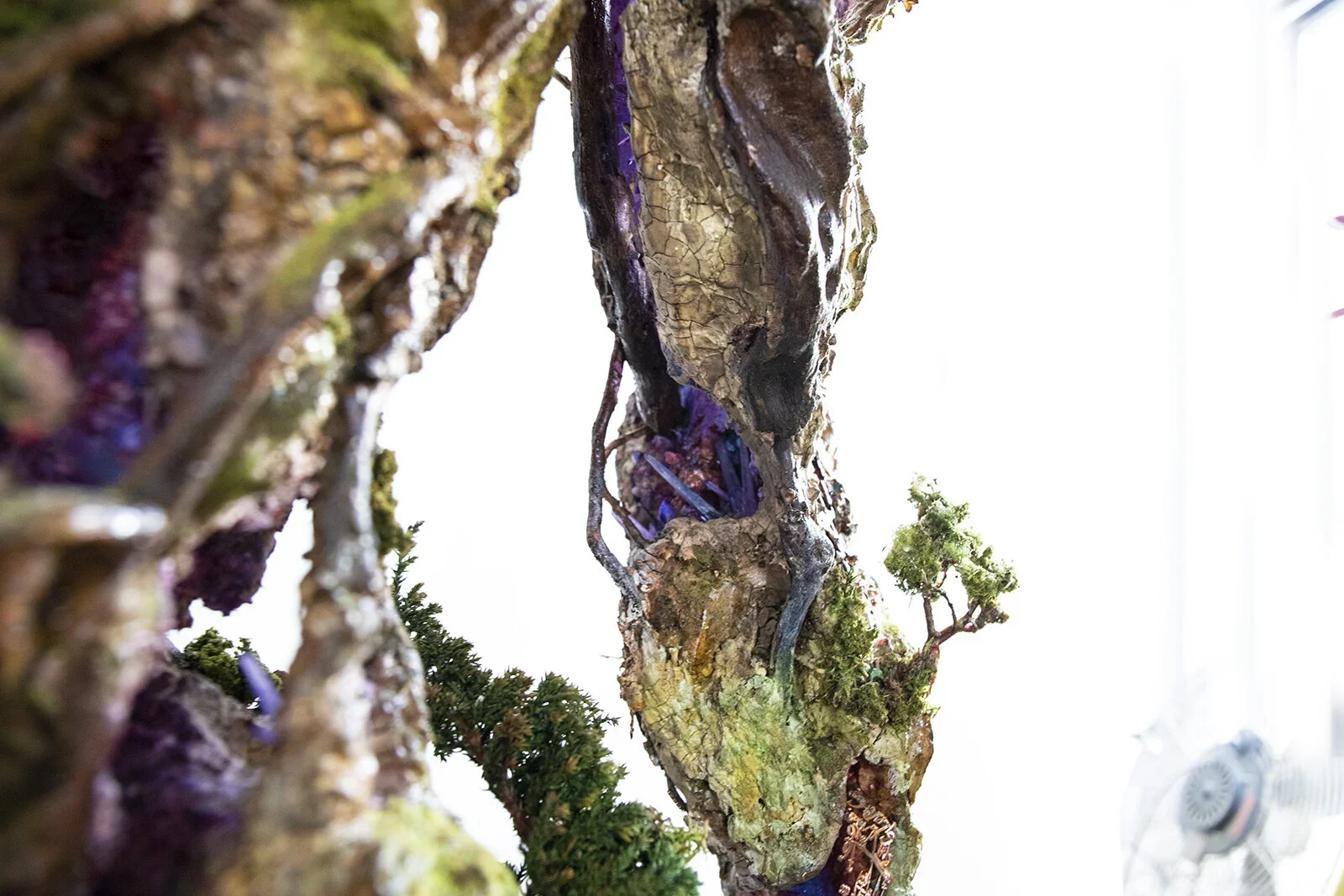 Close-up of a gnarled, textured tree branch with moss, small plants, and purple lighting effects, against a bright background.