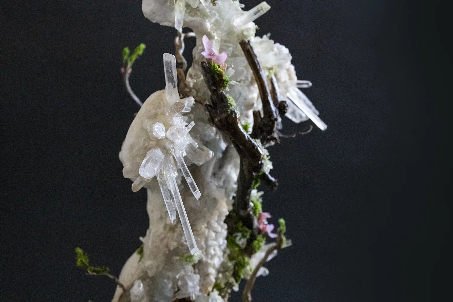 Close-up of a miniature tree with clear, crystal-like formations resembling ice or glass, small pink and green plants, and dark brown twigs against a black background.