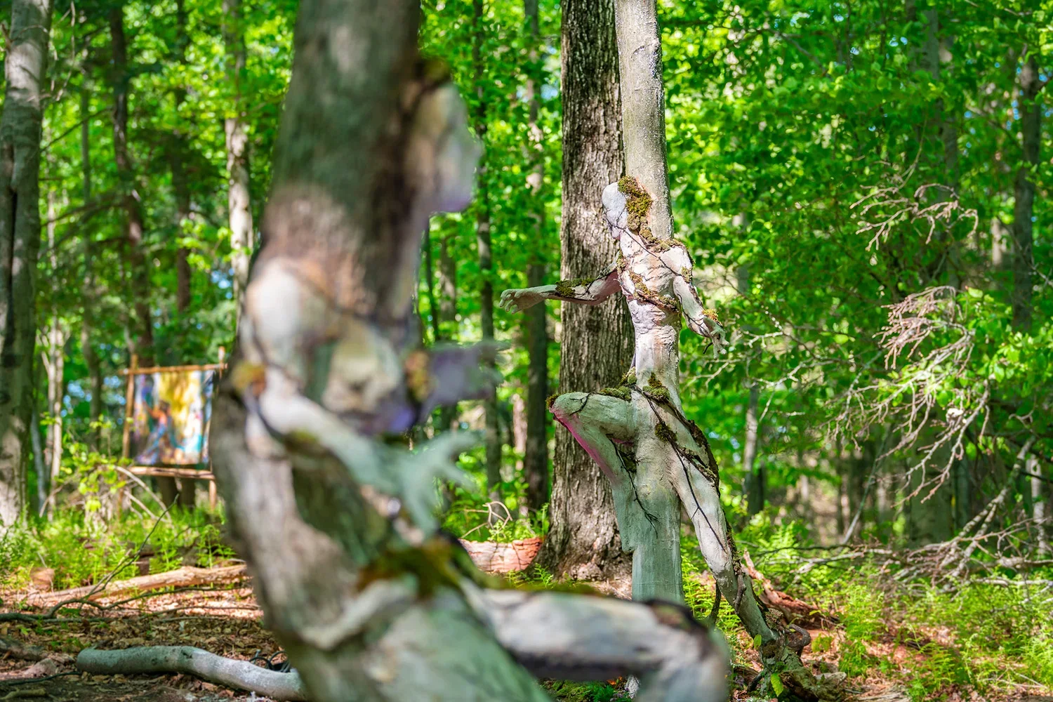 Sculpture of a person made from bark and moss in a green forest, with a portrait on a wooden board in the background.