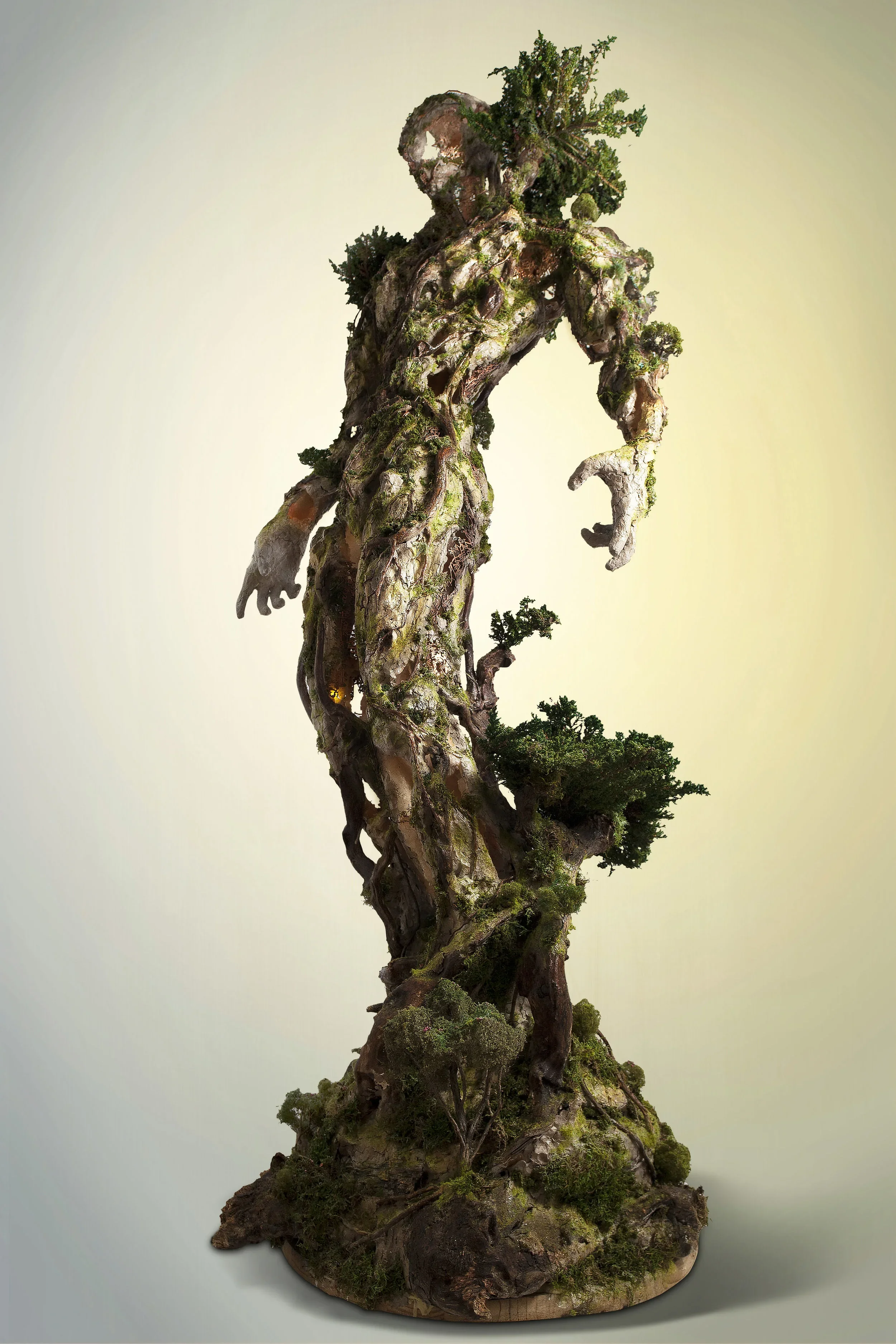 A large bonsai tree with twisted, gnarled branches and a thick trunk, featuring lush green foliage and moss-covered surfaces, set against a plain, light-colored background.