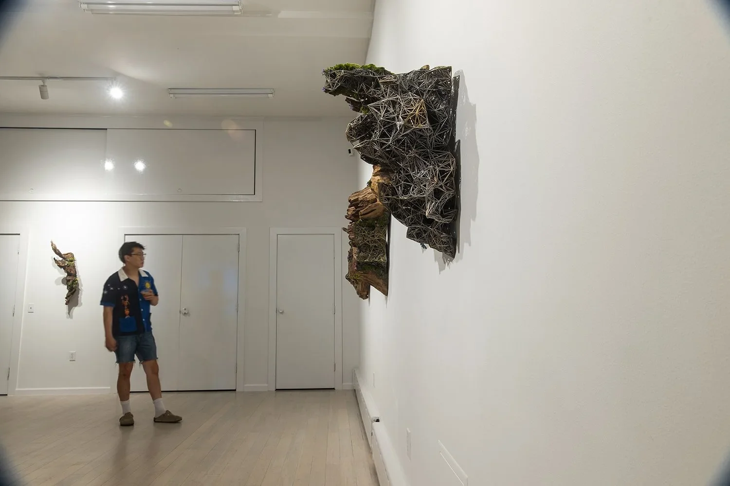 An art gallery features a man observing abstract sculptures on white walls. The sculptures are organic with dark, web-like structures and natural elements.