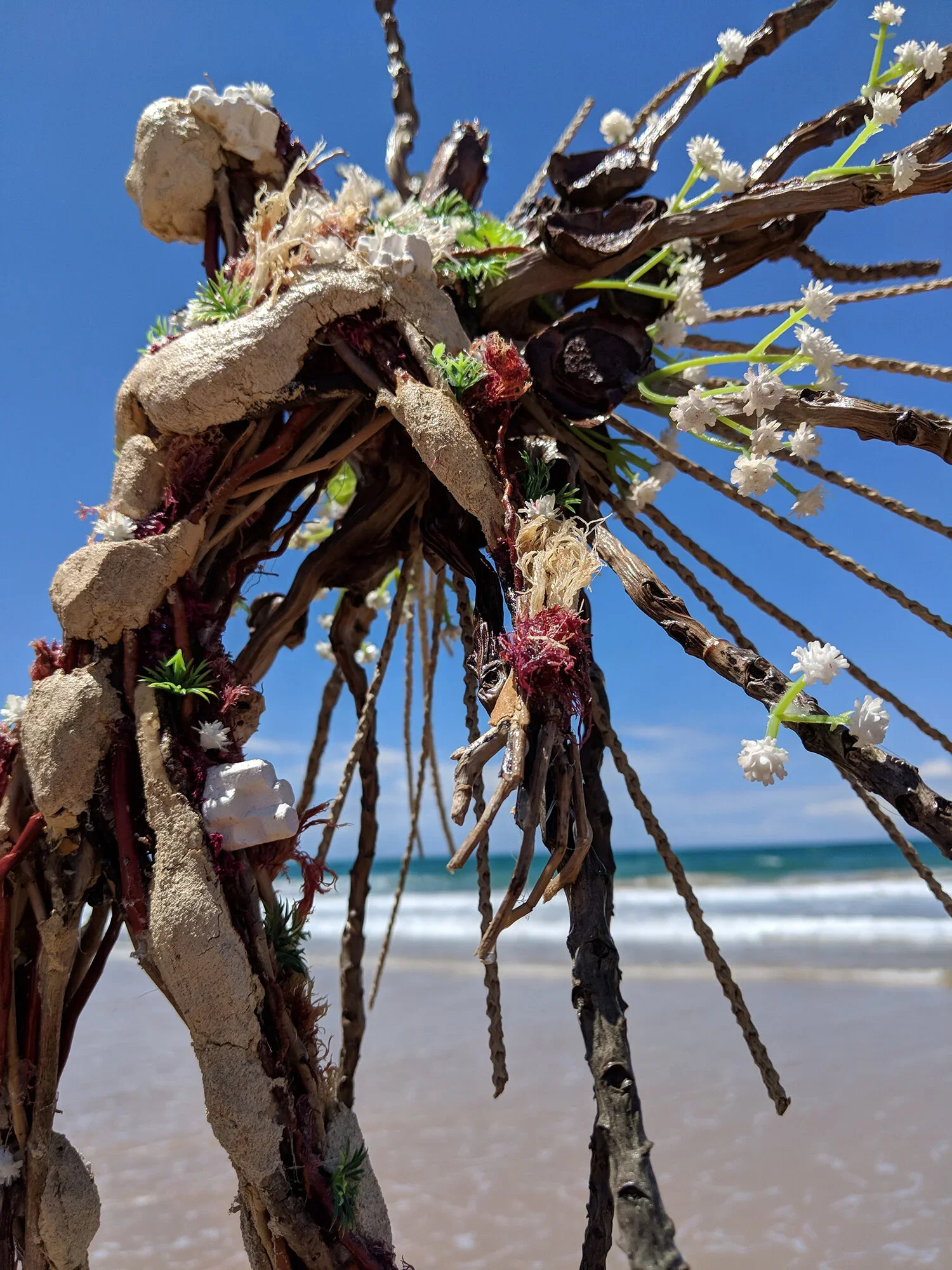 Close-up of a weathered, dried vine or plant with white flowers, against a background of a beach, sand, ocean, and blue sky.