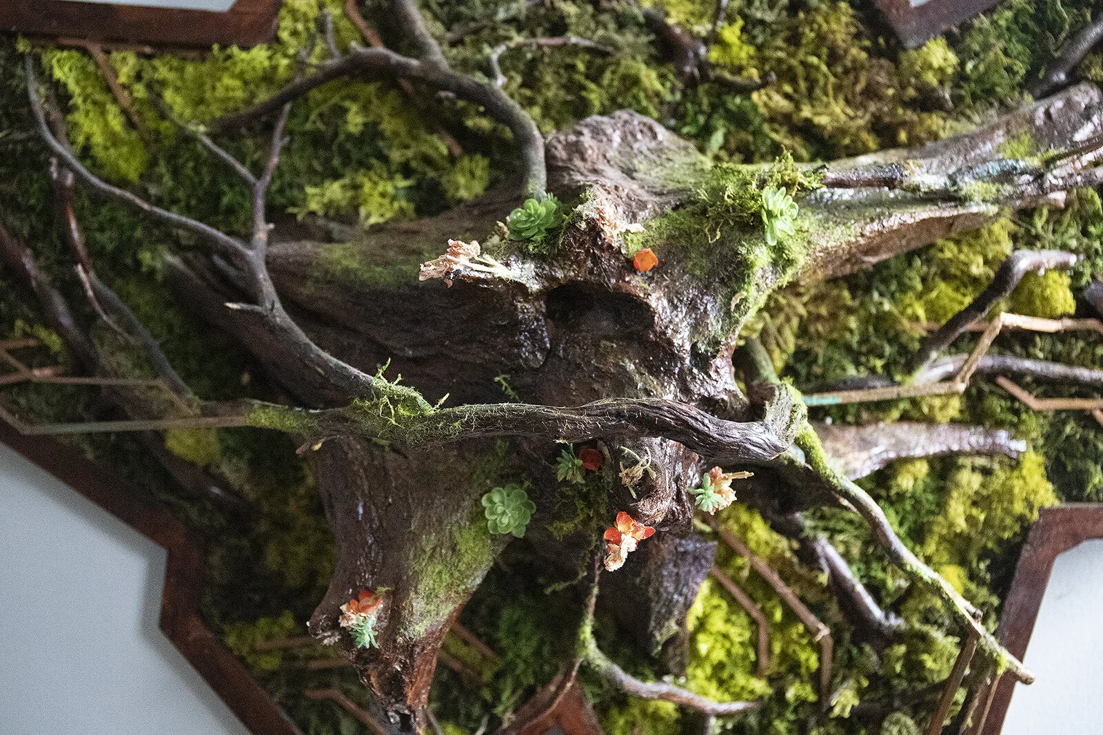 A miniature landscape scene featuring a small tree with twisting branches, surrounded by green moss and tiny plants, set inside a wooden frame.
