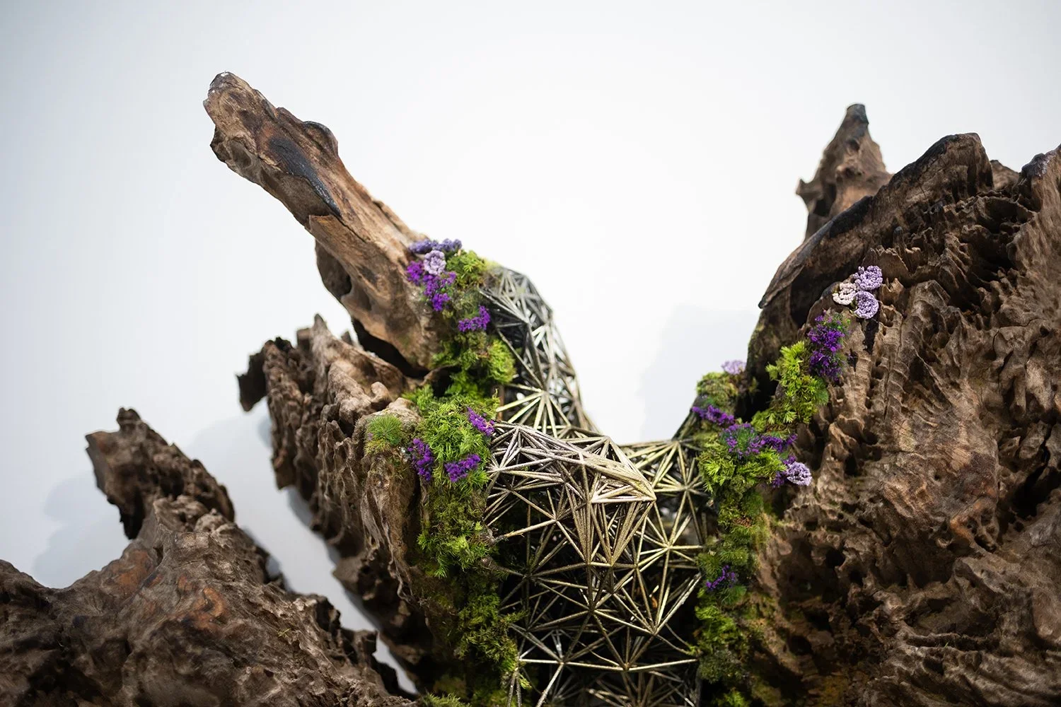 Decorative art piece made of intertwined wood and natural elements with green moss and purple flowers, set between two rough pieces of wood or bark.