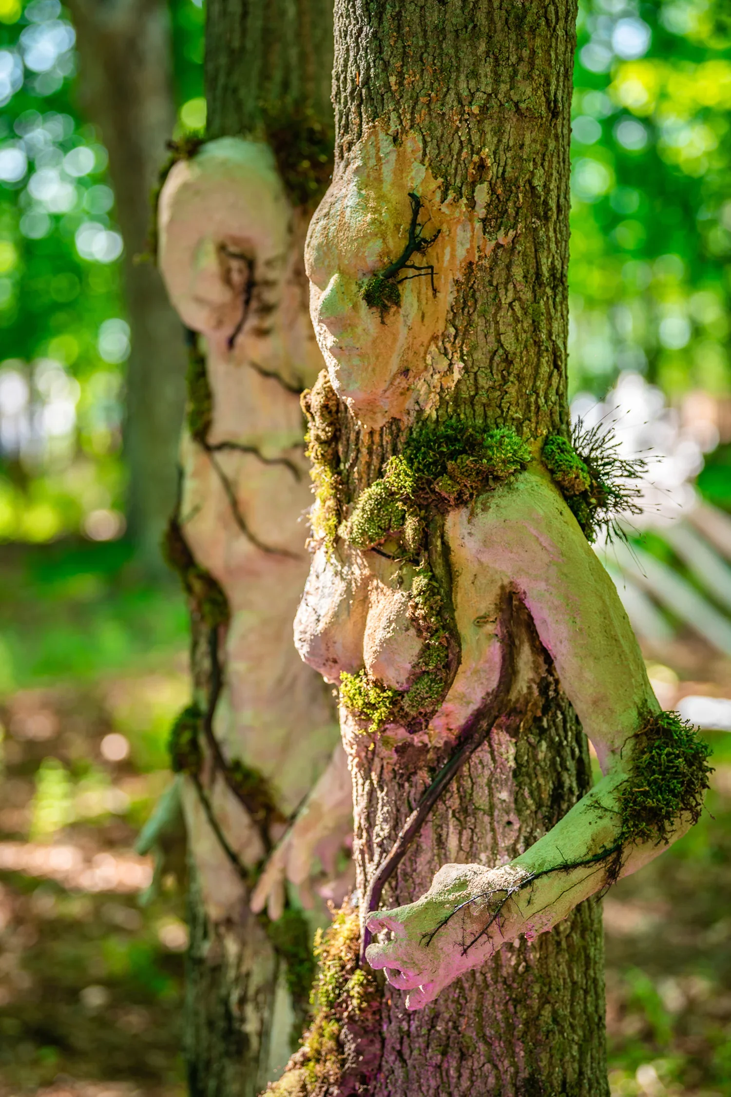 Tree with a human face carving in its bark, surrounded by green moss and foliage in a forest.