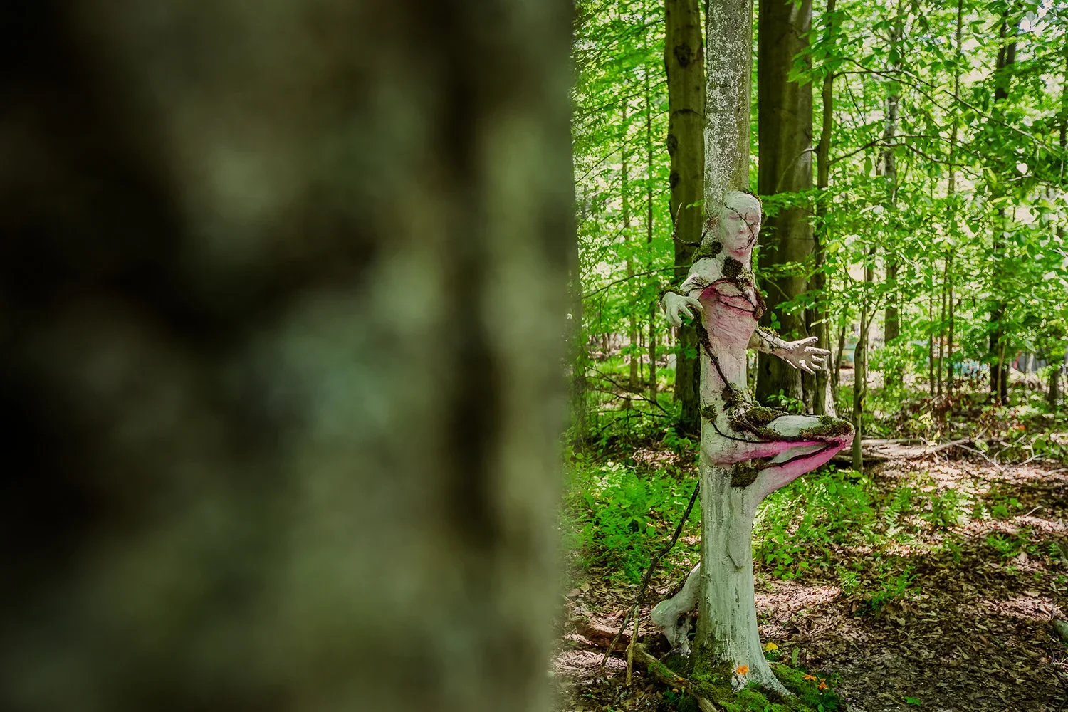 Tree sculpture of a human figure in a forest