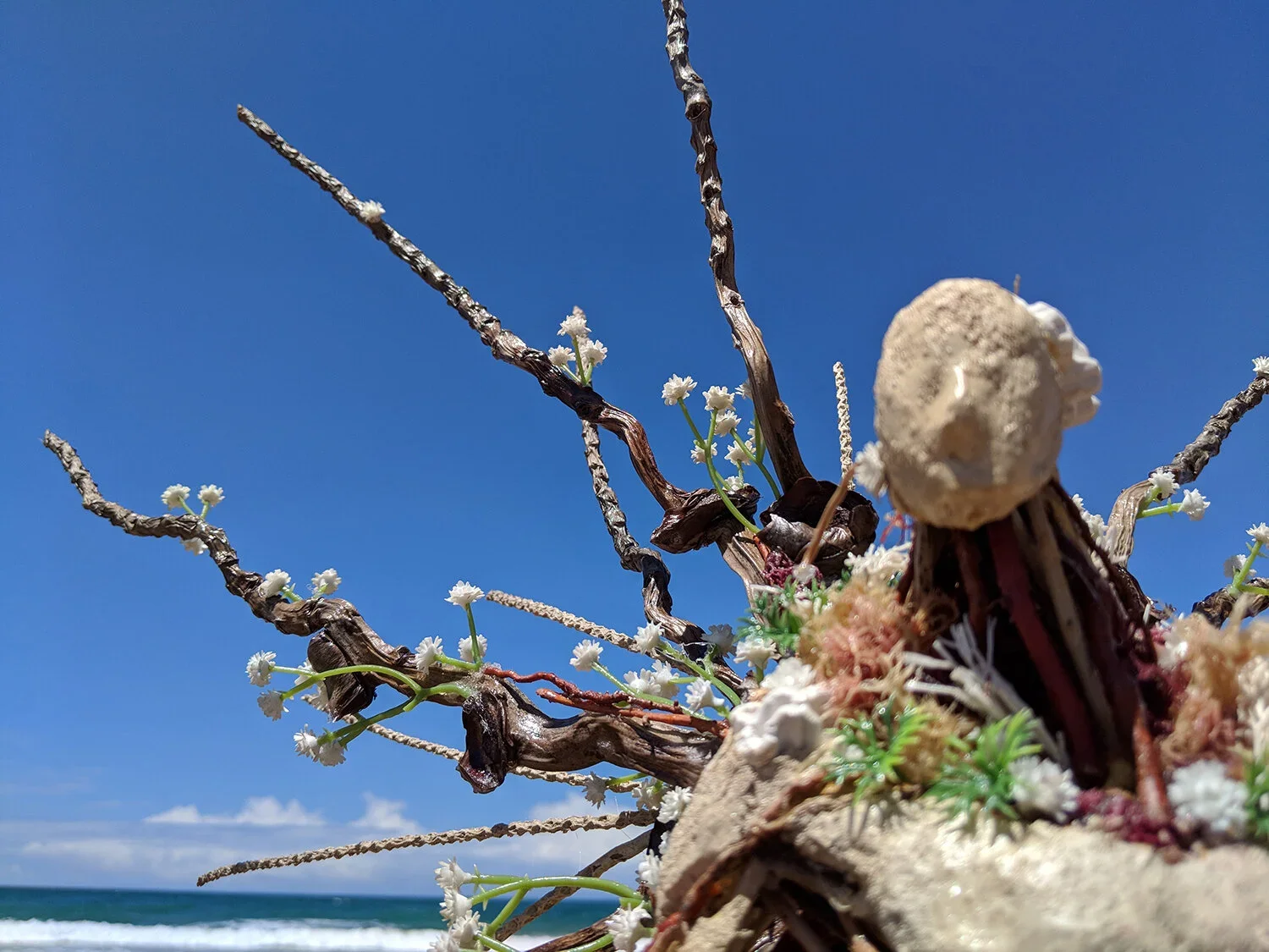 Close-up of a driftwood arrangement with small white flowers and green accents, against a bright blue sky and ocean in the background.