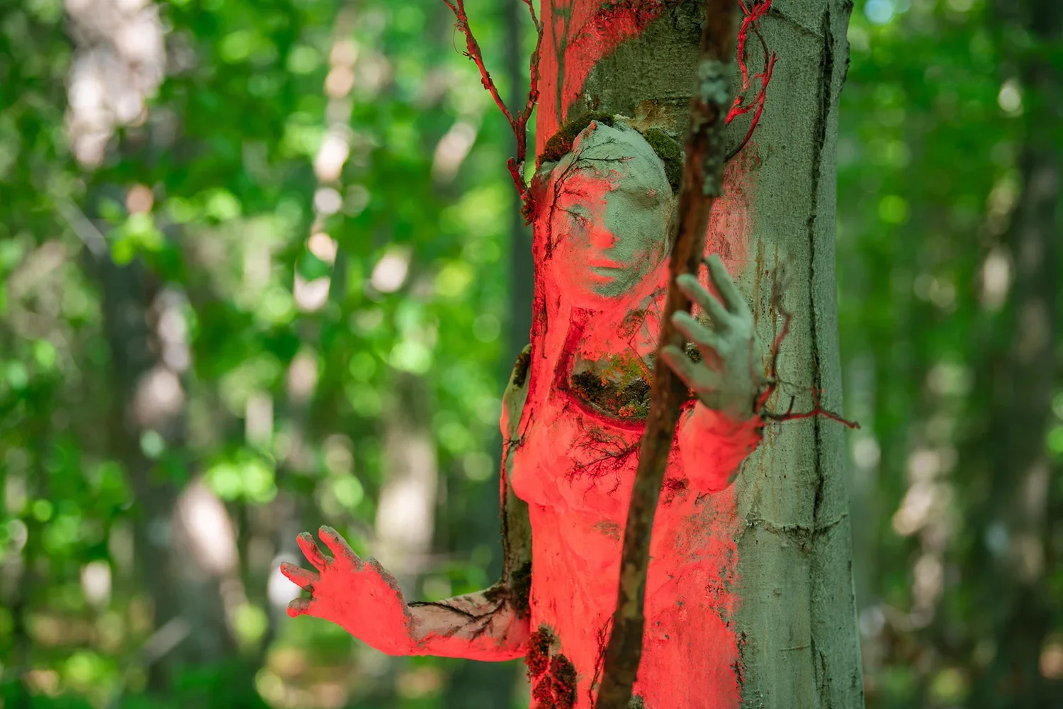 A tree with a carved face and hands of a humanoid figure, highlighted with red lighting, in a green forest background.