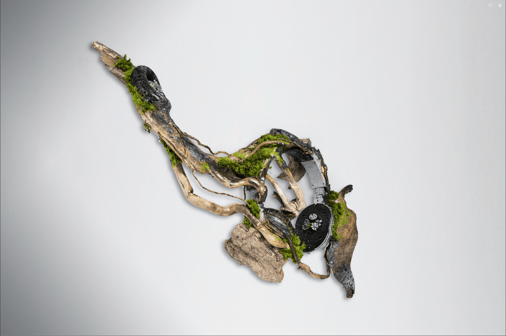 A sculpture made from natural materials like driftwood, moss, and rocks, decorated with small purple flowers, arranged in an abstract shape on a white background.