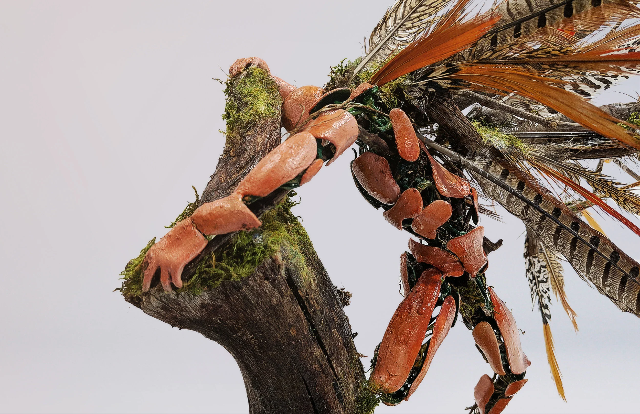 A close-up of a bird of prey feathered headdress, with feathers, moss, and orange and black beads, attached to a weathered piece of wood.