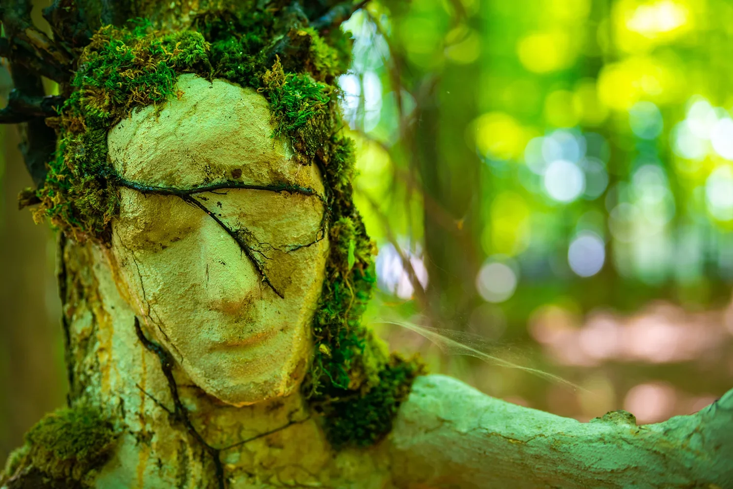 Close-up of a moss-covered tree trunk carved into a serene face with closed eyes in a forest, with sunlight filtering through green leaves in the background.